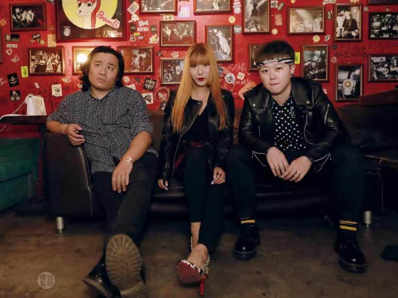 毛绒动物momoanimal